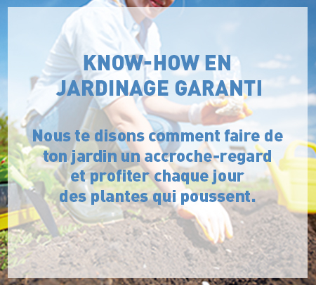 Grillblog_fr